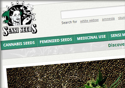 Obtenez des informations sur le cannabis via notre blog